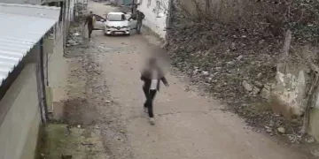 Bursa’da o cani tüfekle başka bir köpeği daha yaralamış