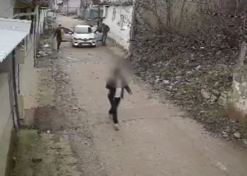 Bursa’da köpeği tüfekle öldürdü