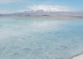 ‘Kuş Cenneti’ Arin Gölü dondu