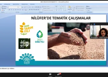 Nilüfer Belediyesi iklim çalışmalarıyla örnek oluyor