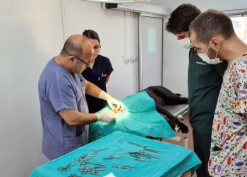 Osmangazi Belediyesi sokak hayvanlarına sahip çıktı