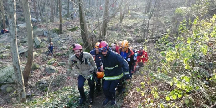 Bursa’da odun toplarken uçurumdan yuvarlandı
