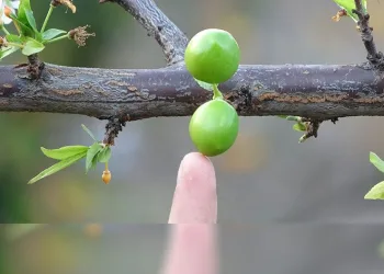 Garip ama gerçek