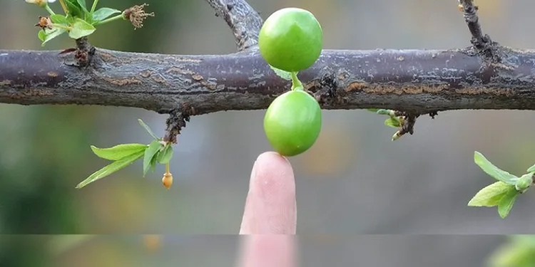 Garip ama gerçek