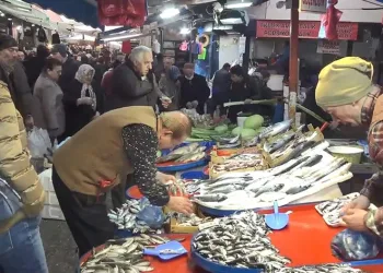 Balık tezgahlarına bereket geldi