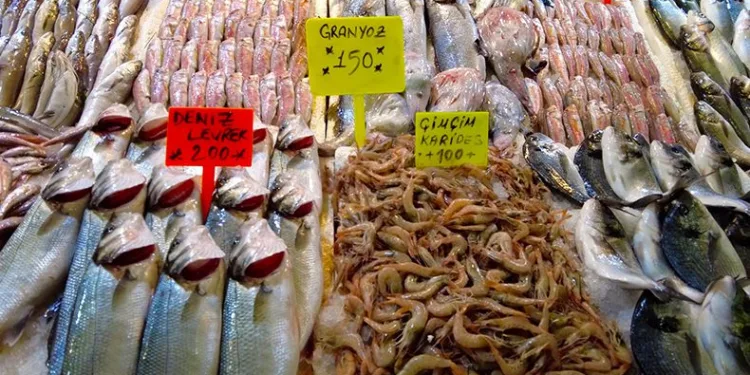 İzmir Foça tezgahlarında levrek bolluğu