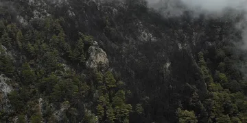 Yanan ormanlık alan havadan görüntülendi