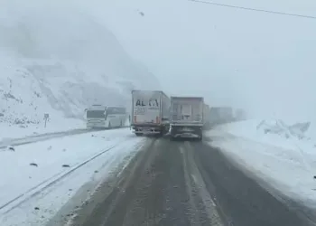 Bingöl’de kar ulaşımı engelledi