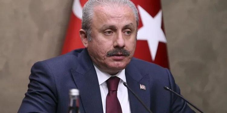 “Meclisin karar almasına gerek yoktur”