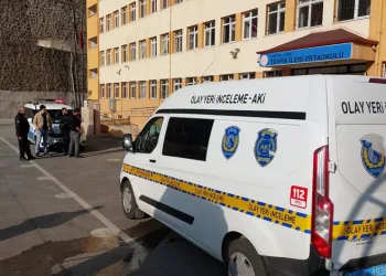 17 yaşındaki çocuk, annesini öldürdü