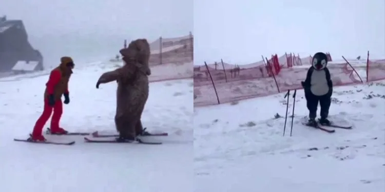 Ayı ve penguen kostümü giyip Uludağ’da kaydılar