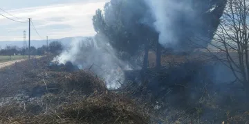 Bursa’da kesilmiş ağaçlar tutuştu