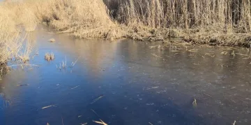 Kuş cenneti buz tuttu