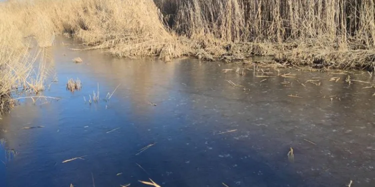 Kuş cenneti buz tuttu
