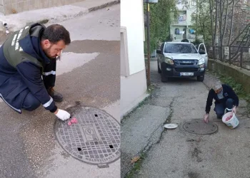 Osmangazi’de haşerelere karşı ilaçlama yapıldı