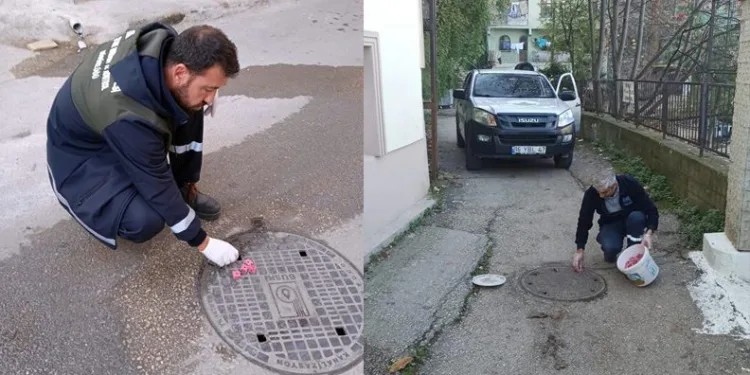 Osmangazi’de haşerelere karşı ilaçlama yapıldı
