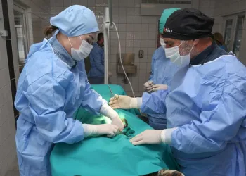 Nilüfer’de sahipsiz hayvanlar kısırlaştırılıyor