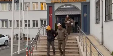 Bursa’da köpeğe eziyet eden o sürücü yakalandı
