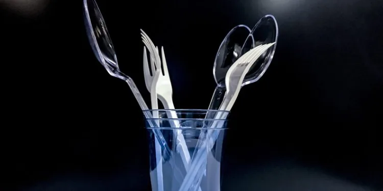 Tek kullanımlık plastiklere yasak geliyor