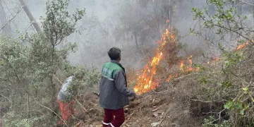 Myanmar’da 7 bin 12 mahkuma af