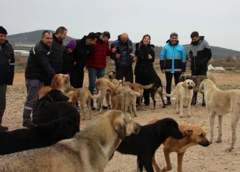 Kırsaldaki can dostlara gönüllü destek