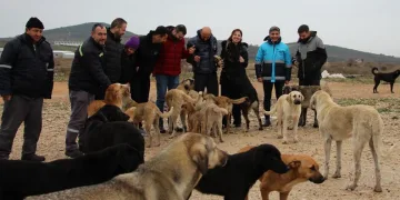 Kırsaldaki can dostlara gönüllü destek