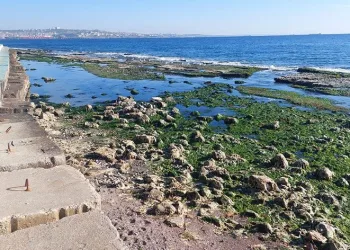 Marmara Denizi metrelerce çekildi