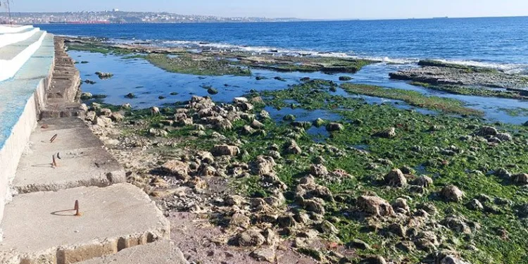 Marmara Denizi metrelerce çekildi