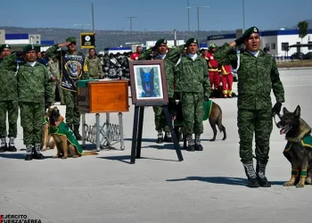 Meksika’da Proteo için anma töreni