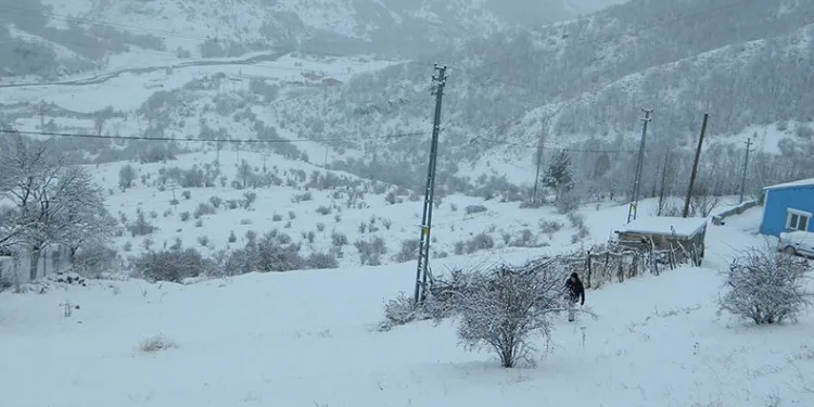 Posof’ta kar esareti