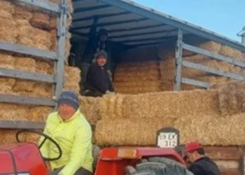 Deprem bölgesine saman ve yem gönderildi