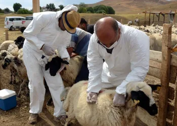 Talas’ta Tarımsal Kalkınmaya Destek