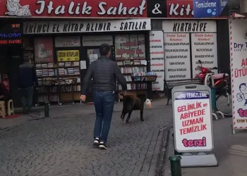 Sokak köpeğinin minik hırsızlığı