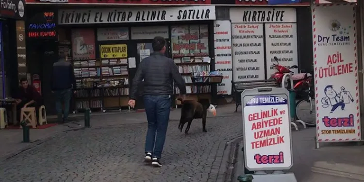 Sokak köpeğinin minik hırsızlığı