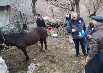 21 gün sonra canlı çıkarıldı