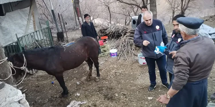 21 gün sonra canlı çıkarıldı