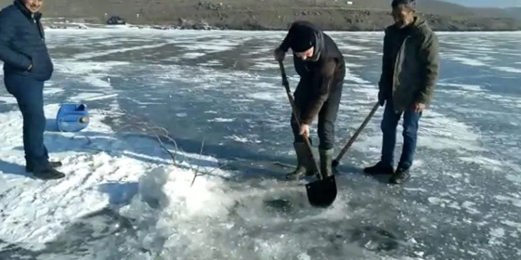 Balıkçıların Eskimo usulü balık avı