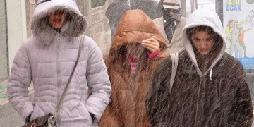 Van’da kar yağışı başladı