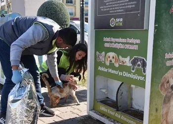Deprem bölgesindeki sokak hayvanları unutulmadı