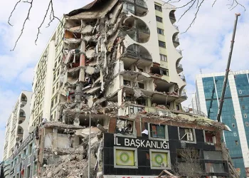 7 kediden 6’sı sahibine teslim edildi