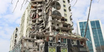 7 kediden 6’sı sahibine teslim edildi