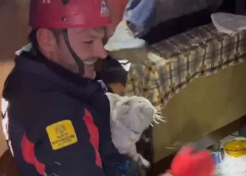 11 gün sonra kurtarıldı