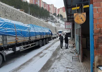 Ahşap konteynerler deprem bölgesinde