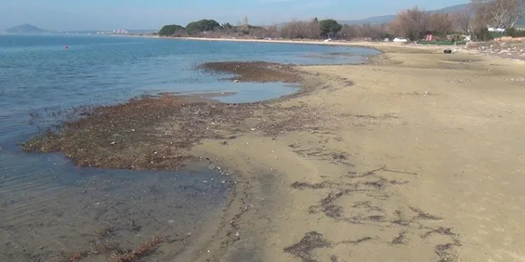 Erdek’te antik liman ortaya çıktı