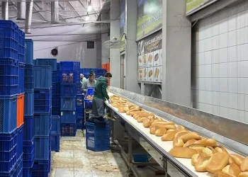 Bursa’dan ekmek ve meyve seferberliği