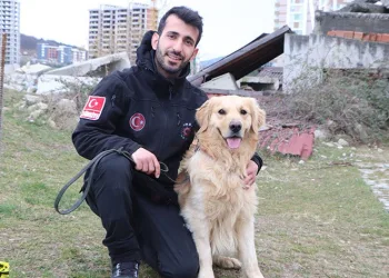 Hayat kurtaran köpeklerin eğitim aşaması