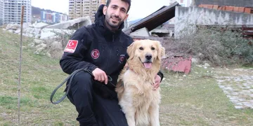 Hayat kurtaran köpeklerin eğitim aşaması