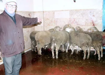 Hayvan üreticilerinden depremzedelere özel bağış