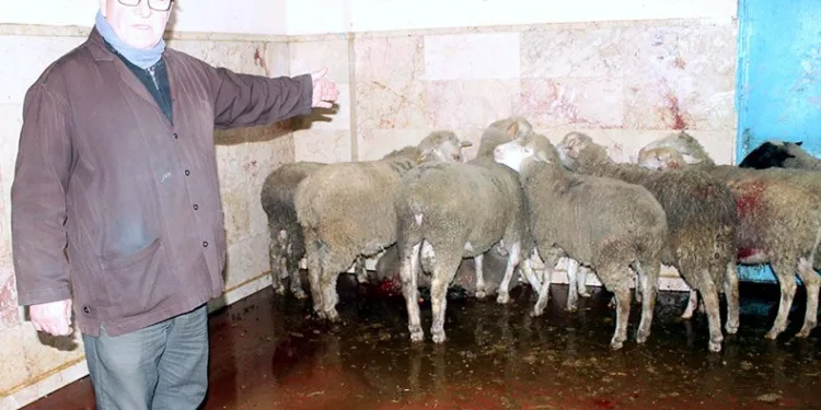 Hayvan üreticilerinden depremzedelere özel bağış