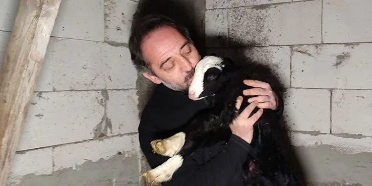 Bursa’da koyun yetiştiricileri nöbet başında